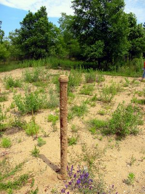 Auto Theatre - Another Speaker Pole - Photo From Water Winter Wonderland (newer photo)